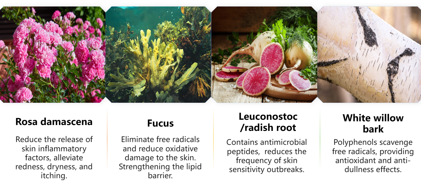 kabut toner penyeimbang